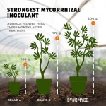 Mycorrhizal Inoculant by DYNOMYCO ? High Performing Strains ? Concentrated Formula ? Improves Nutrient Uptake ? Increases Plant Yields Enhances